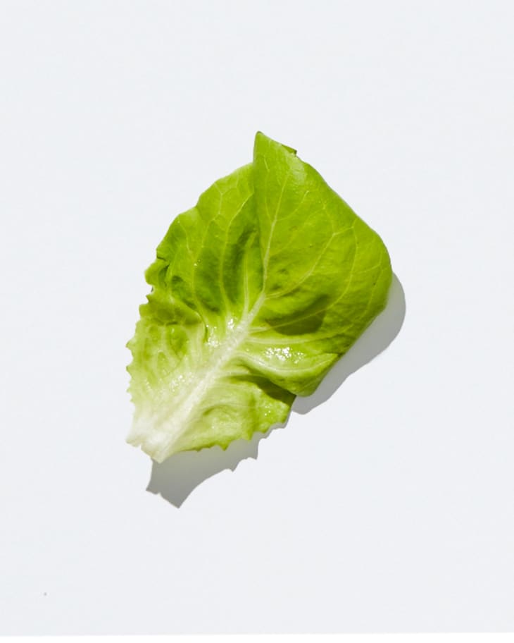 Types of Lettuce A Visual Guide to Salad Greens The Kitchn